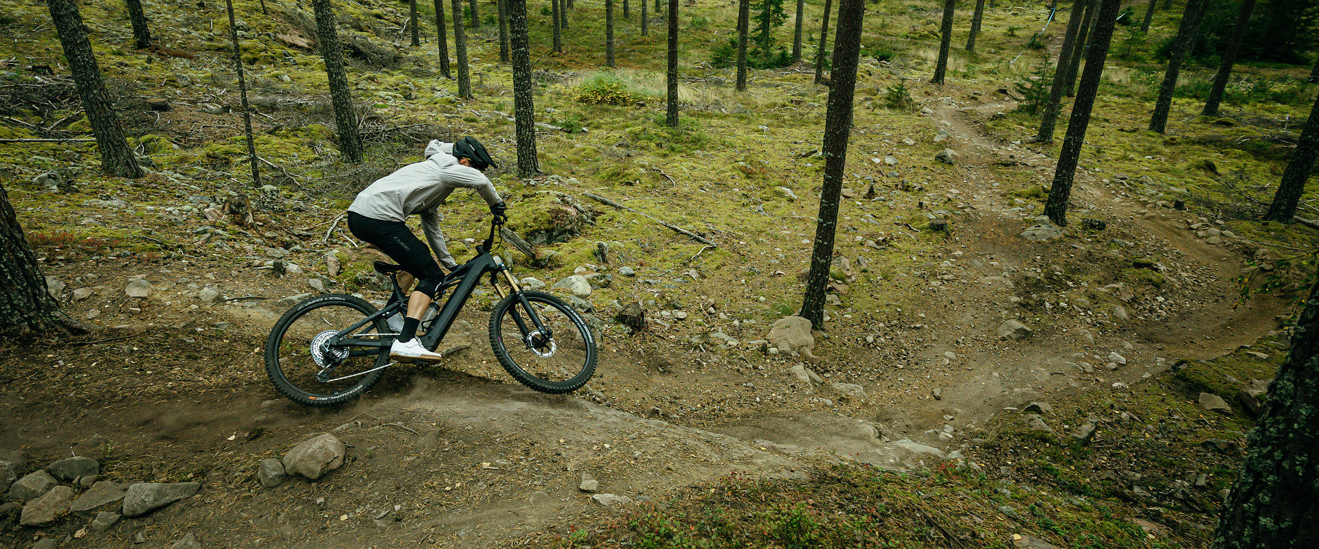 Ebikes